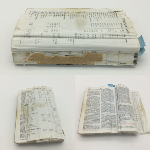 Bible Repair Image